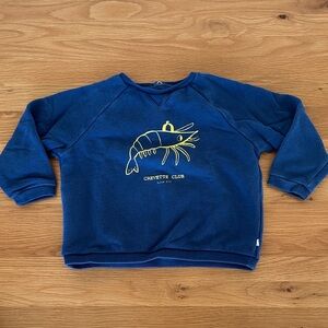 Blue Crewneck Kids Sweater
